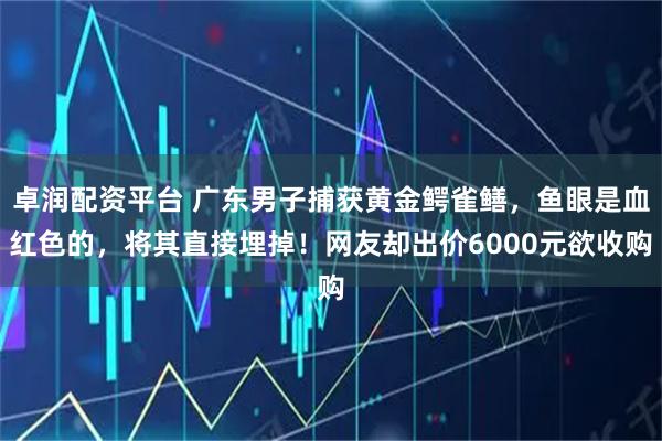 卓润配资平台 广东男子捕获黄金鳄雀鳝，鱼眼是血红色的，将其直接埋掉！网友却出价6000元欲收购