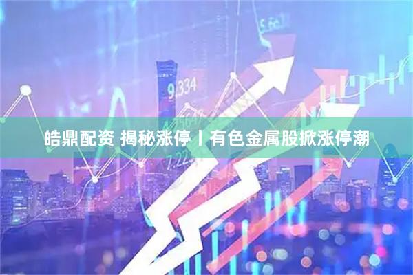 皓鼎配资 揭秘涨停丨有色金属股掀涨停潮